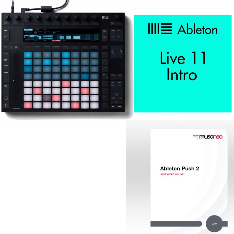 楽天市場 Ableton Push 2 + Live 11 Intro (Upgrade) fundacaolacorosa.com