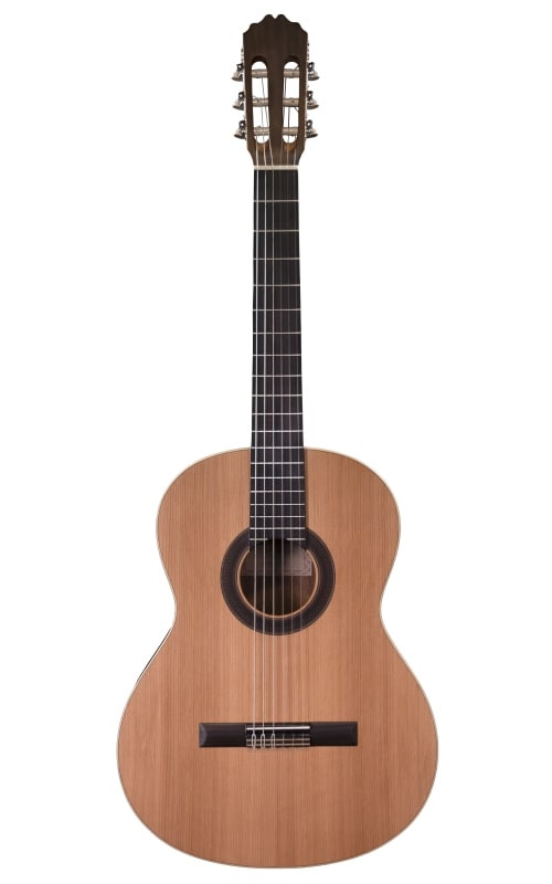 Prodipe Guitars Student 4/4-front