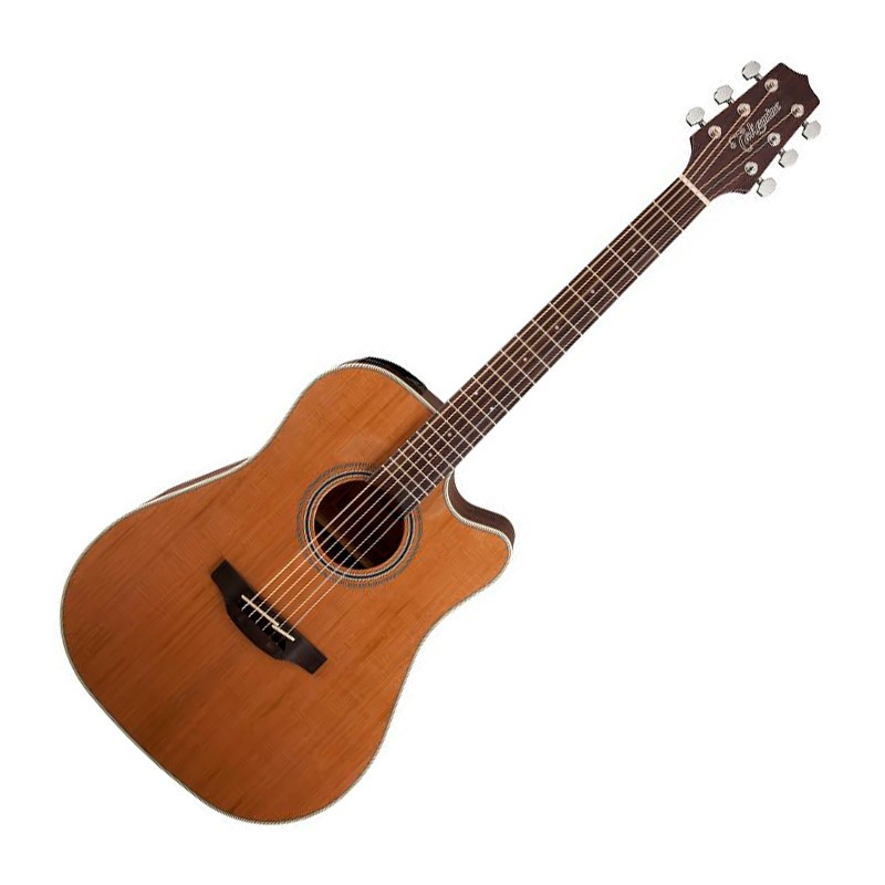 ‌TAKAMINE GD20CE-NS