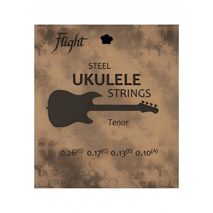 Flight FRST-200 - Strings
