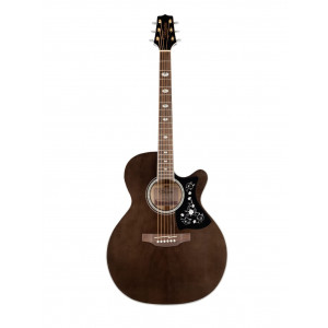 TAKAMINE GN75CE-TBK