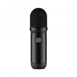 Voyage Audio Spatial Mic Dante - Mikrofon front