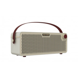 Hotone AP-30WH PULZE Bluetooth White - Guitar Amplifier - pod kątem 